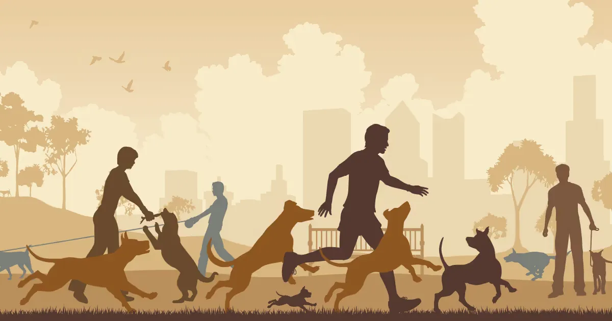 A man running with his dogs in a city park.