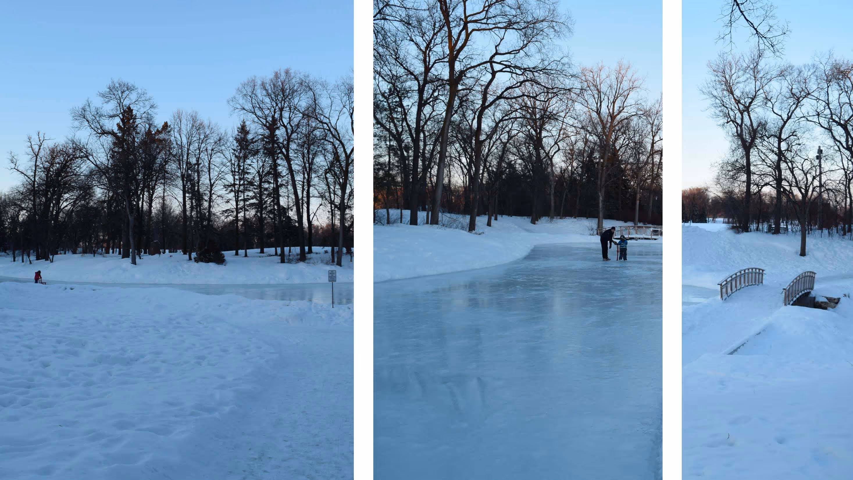 Bokeh, Kildonan Park Duck Pond, Manitoba — project view 7